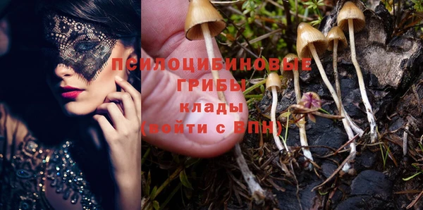 прущий лед Армянск