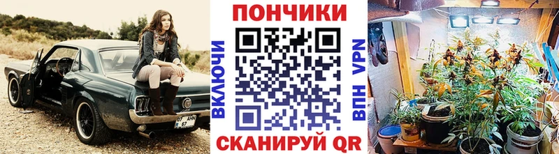 Каннабис конопля  Порхов 